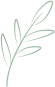 cropped tige transparent ppt.png